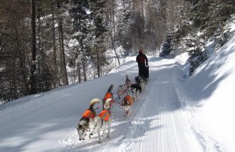 La Tribu Rando